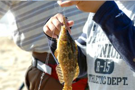 おすすめ釣りスポット「一宮川河口」