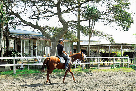 砂浜で乗馬体験！九十九里浜一宮乗馬センター